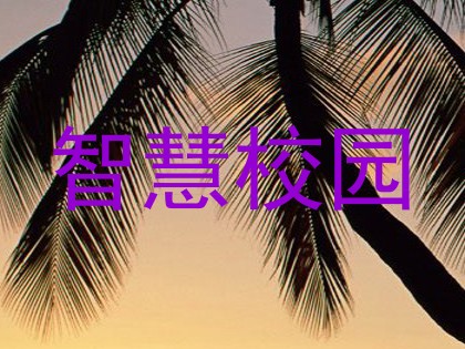 智慧校园