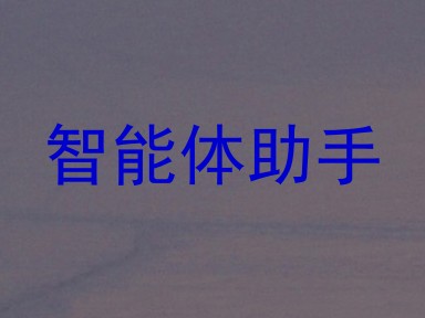 智能体助手