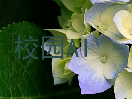 校园AI