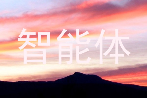 智能体