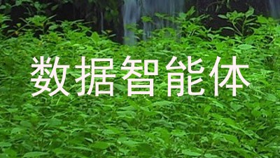 数据智能体