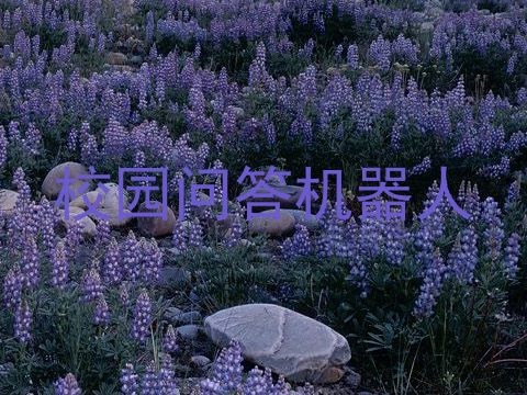 校园问答机器人