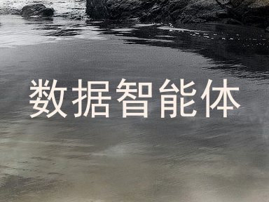 数据智能体