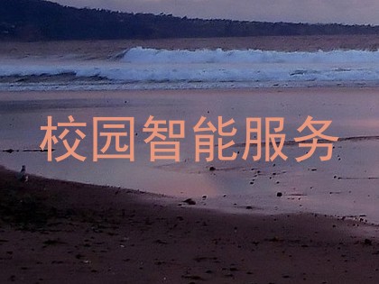 校园智能服务
