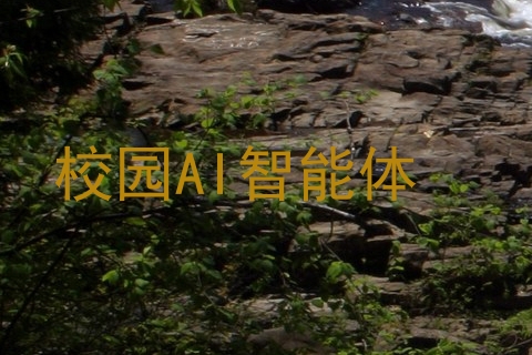 校园AI智能体