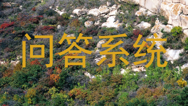 问答系统