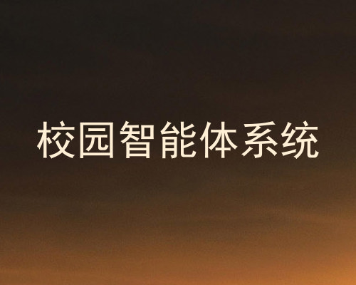 校园智能体系统