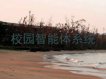 校园智能体系统