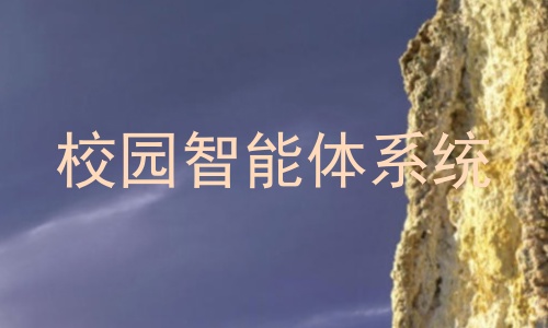 校园智能体系统