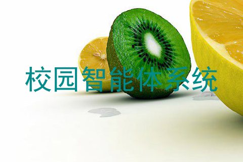 校园智能体系统