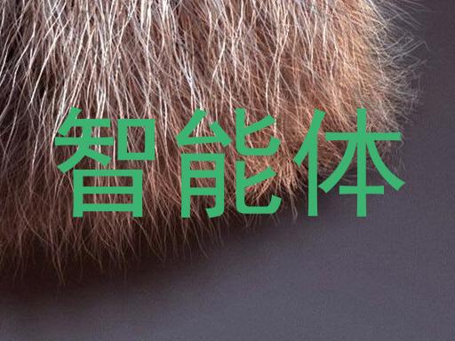 智慧校园