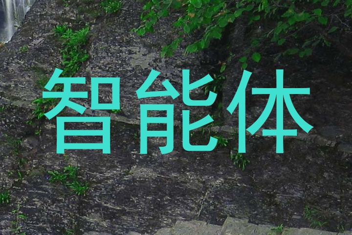 智能体