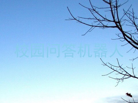 校园问答机器人