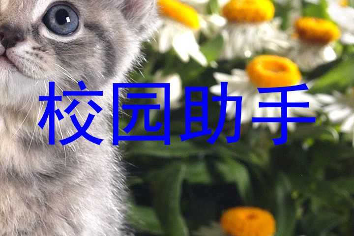 校园助手
