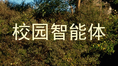 校园智能体