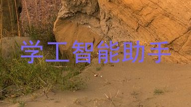 学工智能助手