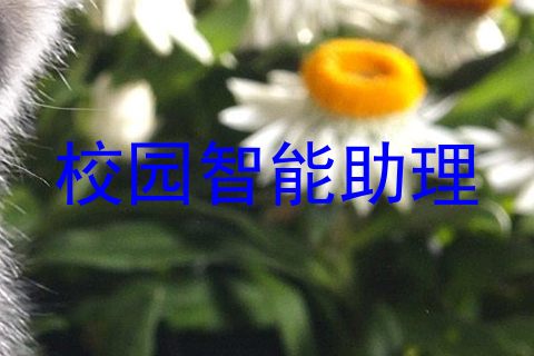 校园智能助理