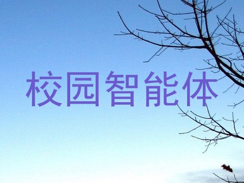 校园智能体