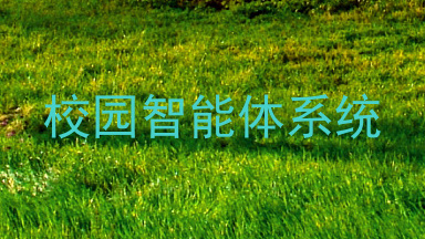 校园智能体系统