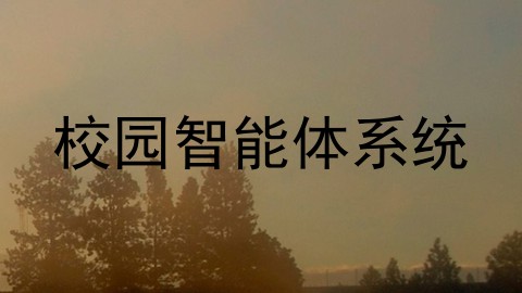 校园智能体系统