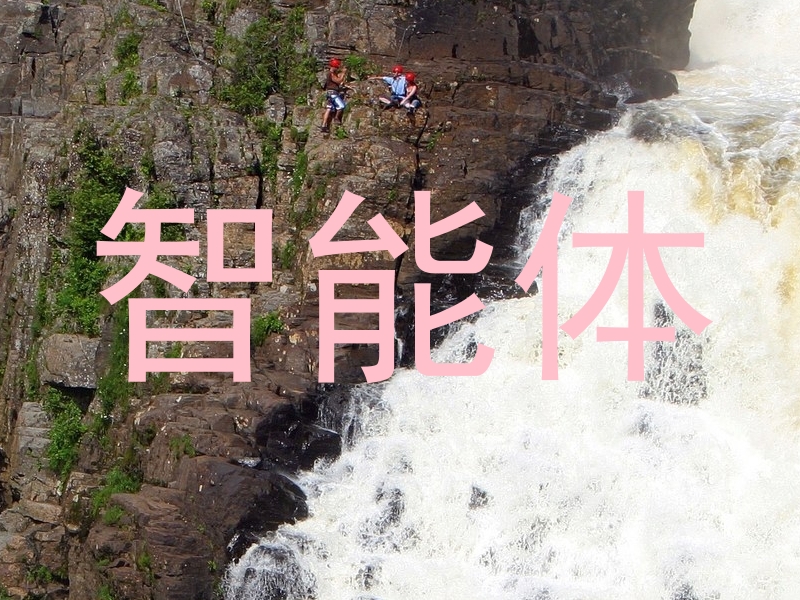 智能体