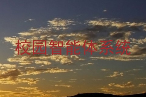 校园智能体系统