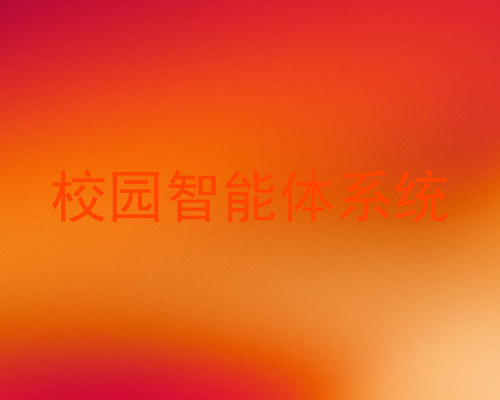 校园智能体系统