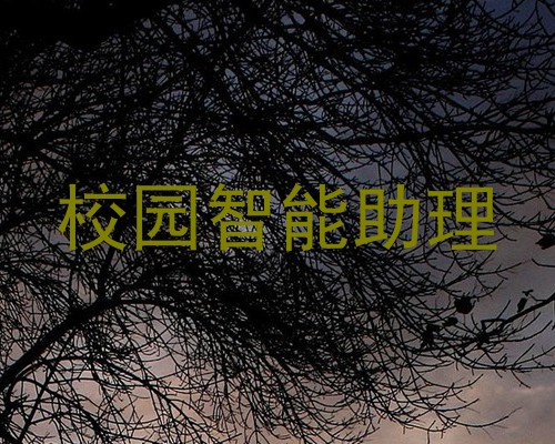 校园智能助理