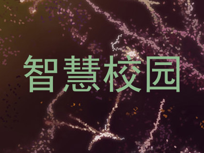 智慧校园