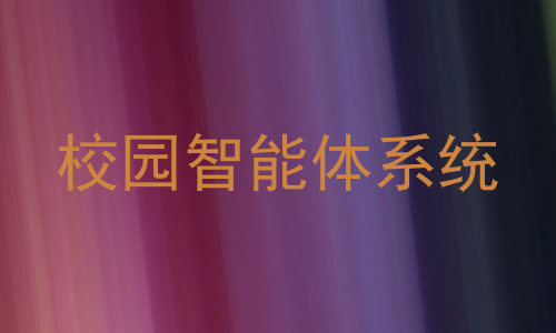 校园智能体系统
