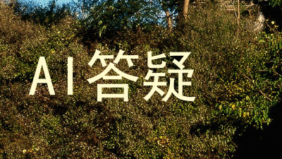 AI答疑