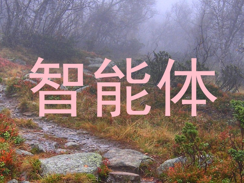 智能体