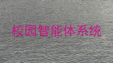 校园智能体系统