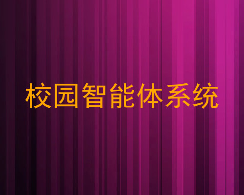 校园智能体系统