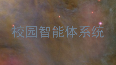校园智能体系统