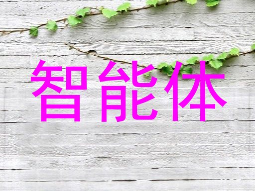 智能体