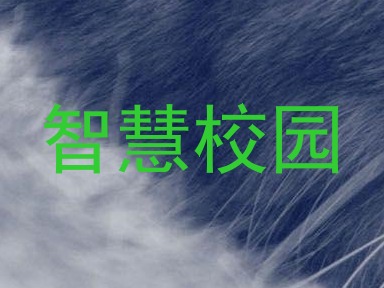 智慧校园