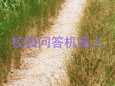校园问答机器人