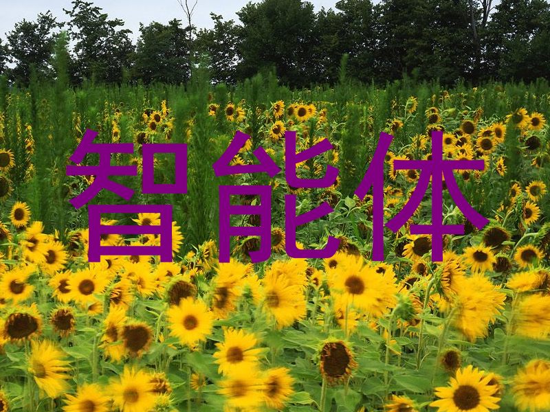 智能体