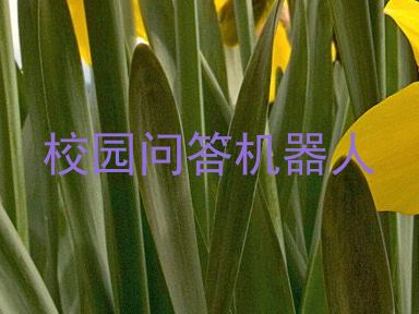 校园问答机器人