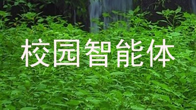 校园智能体