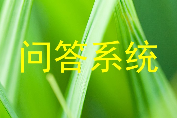 问答系统