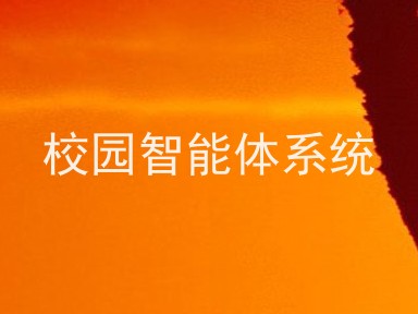 校园智能体系统