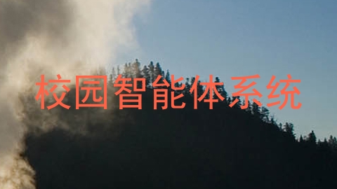 校园智能体系统