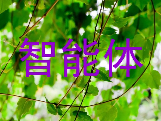 智能体
