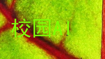 校园AI