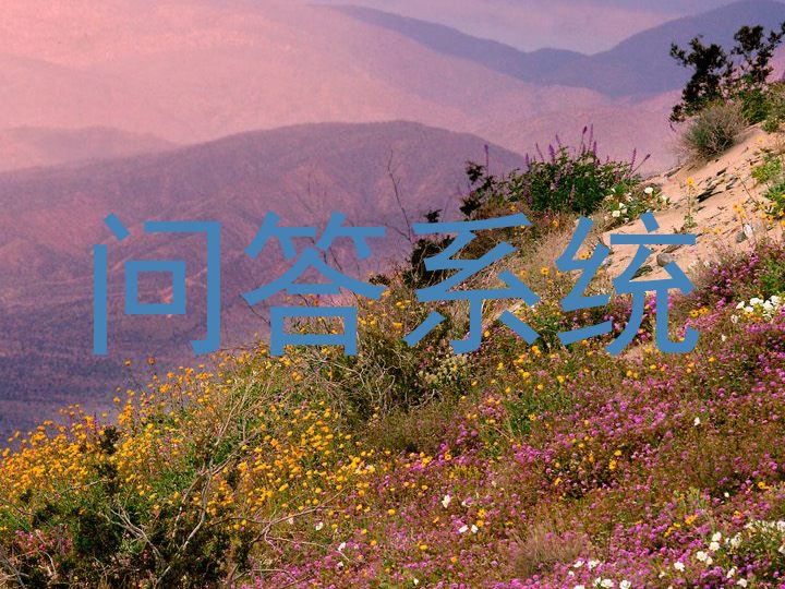 问答系统