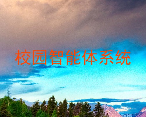 校园智能体系统