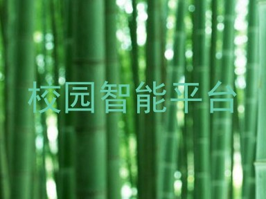 校园智能平台