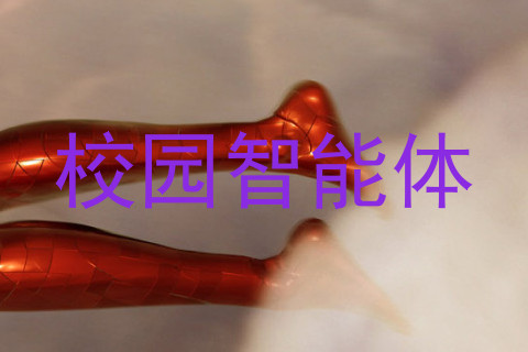 校园智能体